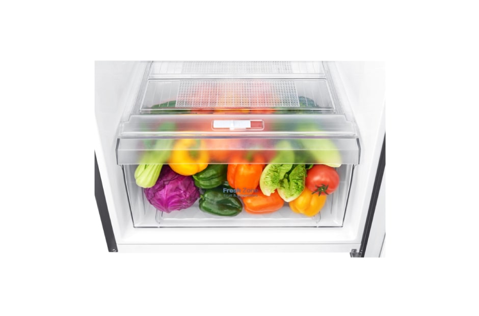 LG Kulkas 2 Pintu 272L gross / 254Lnett Inverter Linear Compressor dan Door Cooling+™, GN-C272SLCN