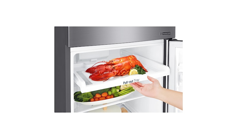 LG Kulkas 2 Pintu 272L gross / 254Lnett Inverter Linear Compressor dan Door Cooling+™, GN-C272SLCN