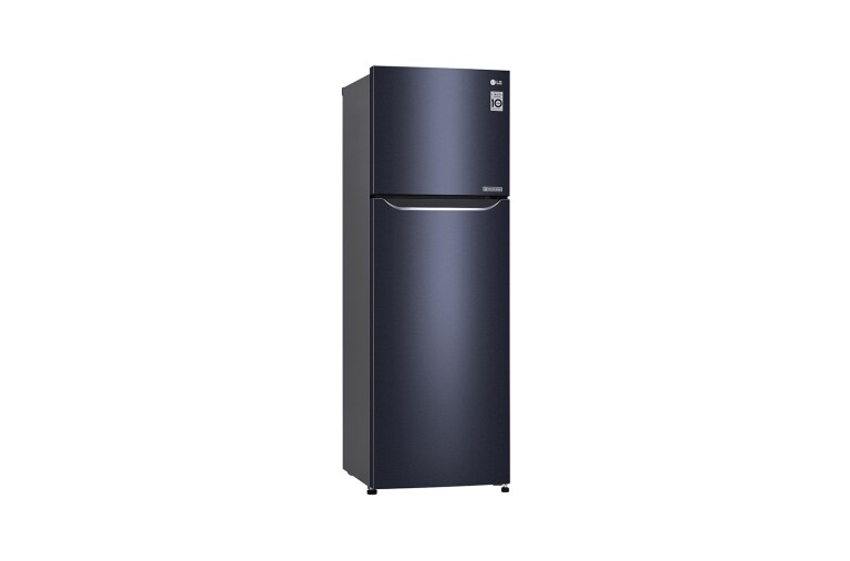 LG Kulkas 2 Pintu - Door Cooling+™, GN-C272SQCN
