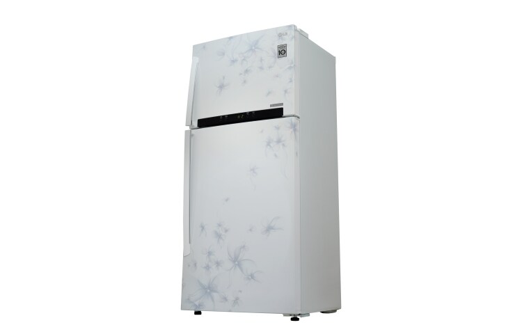 LG 2 Pintu - Door Cooling, GN-M602HPHG