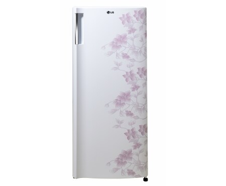 LG Kulkas 1 Pintu - Sus Flower Pattern, GN-Y201SP