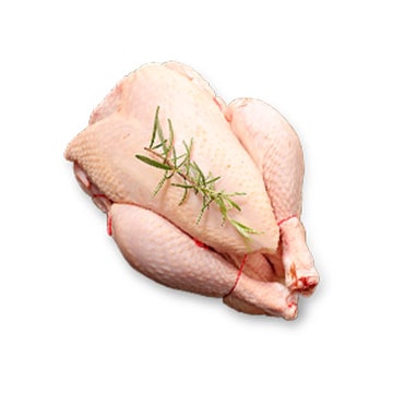 Daging Ayam