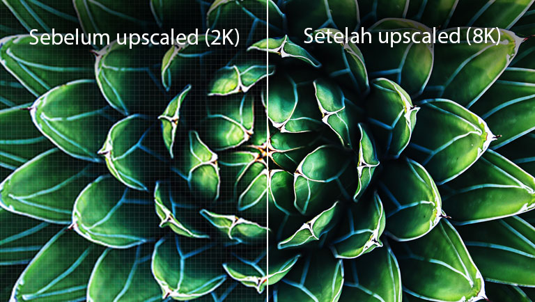 Gambar perbandingan menunjukkan sebelum dan sesudah peningkatan 8K. Gambar yang sebelumnya tampak buram.