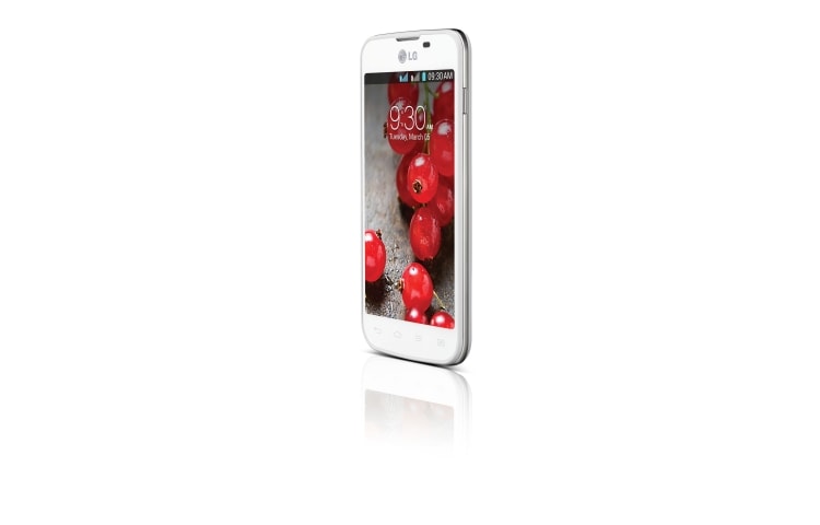 LG L5 II Dual, E455