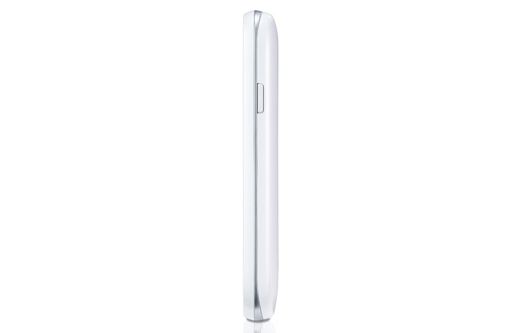 LG L40 Dual, LGD170