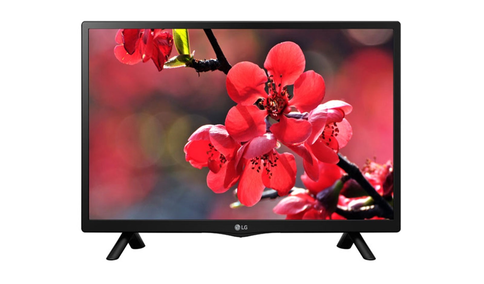 Front view of Monitor TV (MTV) 22TK420A-PT