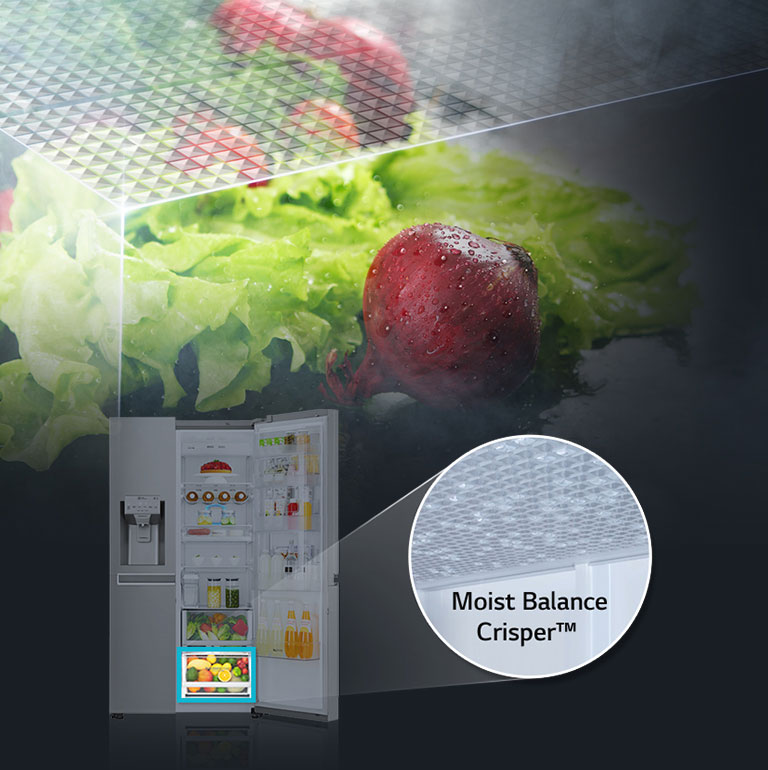 Moist Balance Crisper™