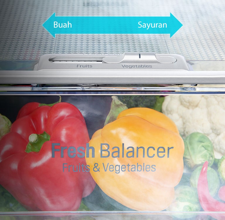 Fresh Balancer™3