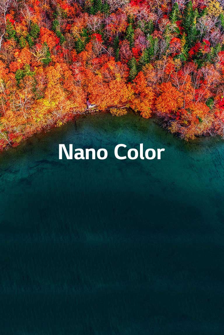 Penyempurnaan Kemurnian Warna