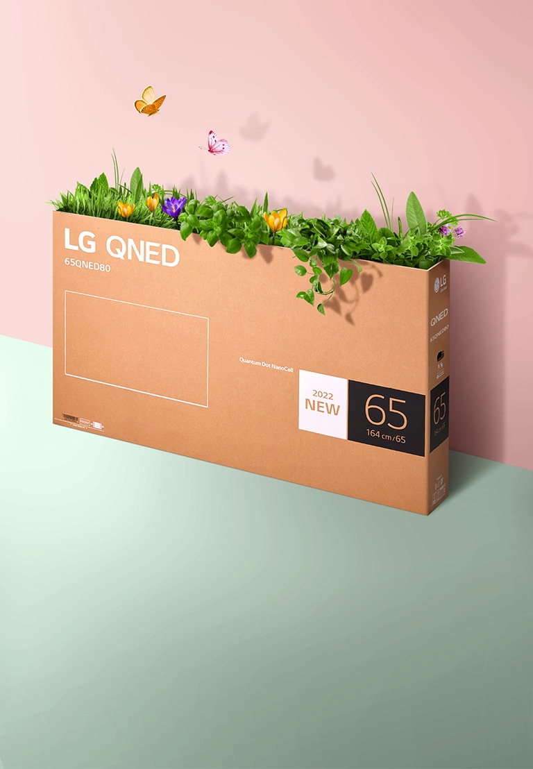 Kotak kemasan QNED diletakkan di atas latar belakang merah muda, hijau dan ada rumput yang tumbuh dan kupu-kupu keluar dari dalamnya.