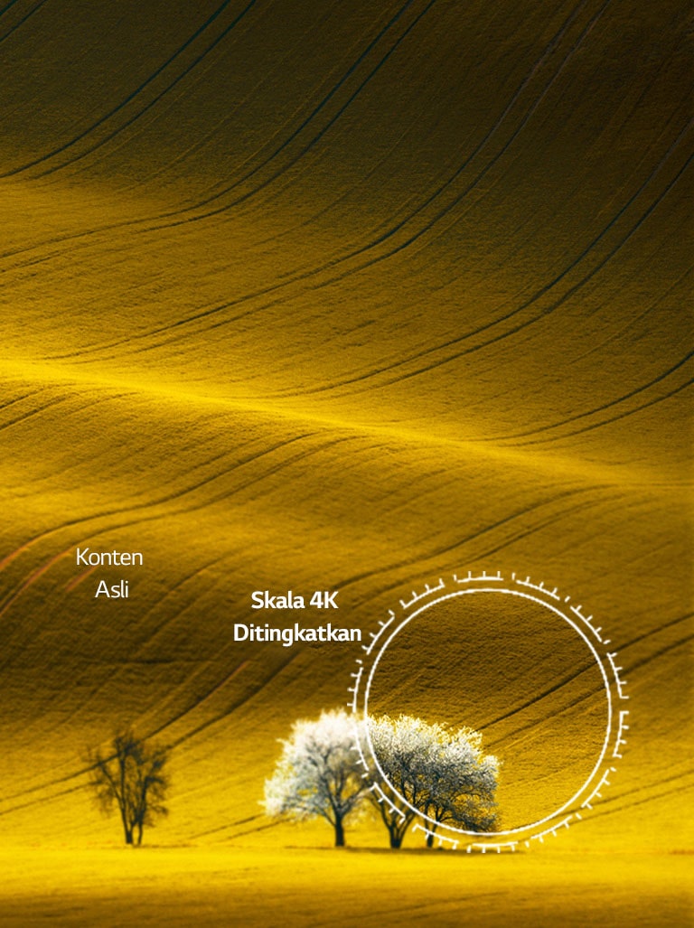 Pemandangan alam, yang membandingkan kualitas gambar konten non-4K dan konten 4K yang ditingkatkan skalanya.