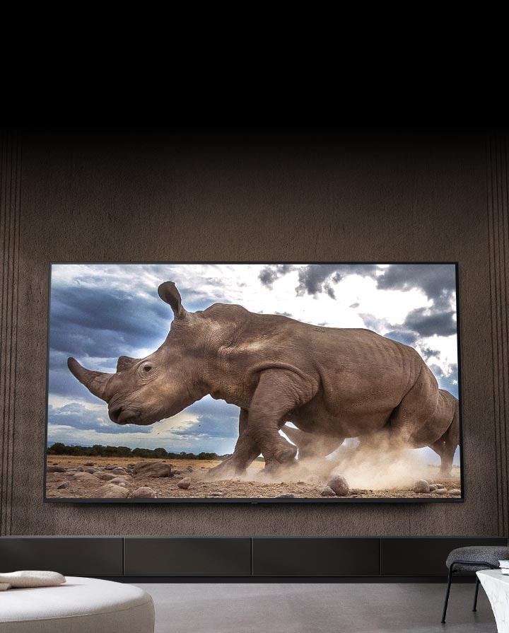 Badak dalam lingkungan safari ditampilkan di LG TV Ultra Besar, dipasang di dinding ruang tamu berwarna coklat yang dikelilingi oleh furnitur modular berwarna krem.