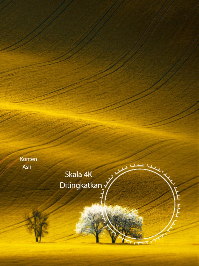 Pemandangan alam, yang membandingkan kualitas gambar konten non-4K dan konten 4K yang ditingkatkan skalanya.