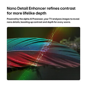LG NANO 4K UHD AI NU845 dengan Nano Detail Enhancer menampilkan gambar bulu, didukung oleh Prosesor AI alfa yang mendeteksi tekstur halus untuk meningkatkan kontras dan kedalaman serta menghasilkan gambar 4K tiga dimensi yang lebih jernih.