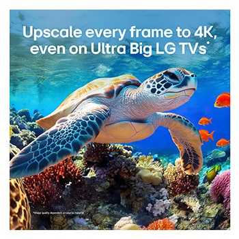 LG QNED evo AI QNED85 with AI Picture Pro and Dynamic Tone Mapping Pro shows an underwater scene of a sea turtle swimming above coral and fish, as AI recognizes and upscales each frame to 4K resolution.