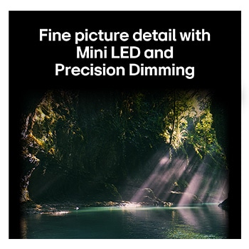 LG QNED evo AI QNED85 highlights Mini LED with Precision Dimming in a split forest scene, comparing conventional LED with deeper blacks and more refined contrast as sunlight filters through the trees for greater clarity and depth.