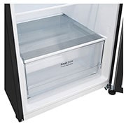 Bottom Freezer