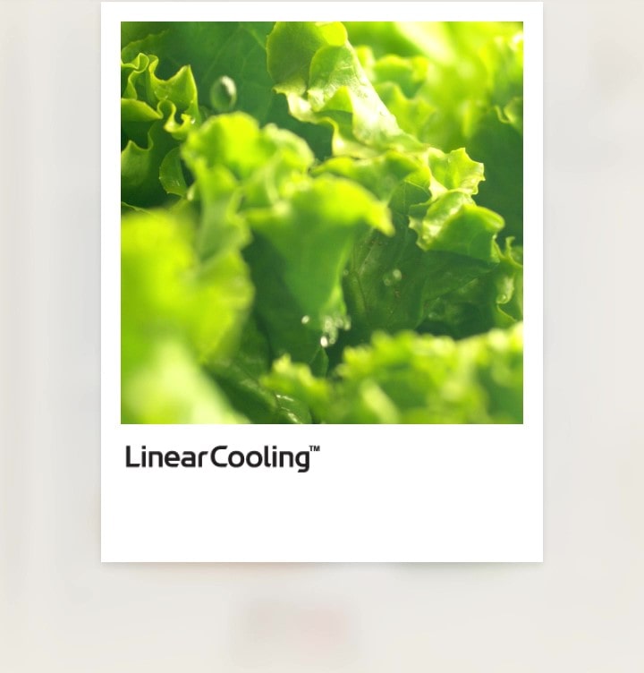 Teknologi Linear Cooling pada kulkas LG Bottom Freezer menjaga kesegaran makanan hingga 7 hari dengan suhu akurat (+/- 0,5°C)