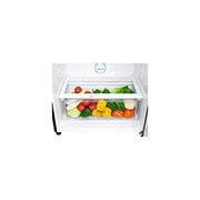 Drawer Vegetable