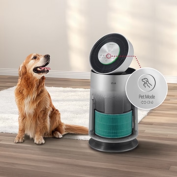 this is an image of an LG air purifier with a pet filter function and its filter.