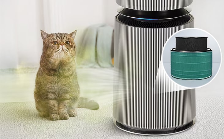 It absorbs the cat's scent, making your home more comfortable and inviting.