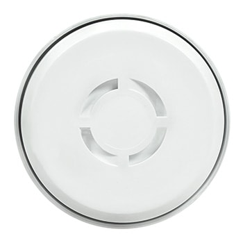 bottom view