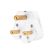 plug front view