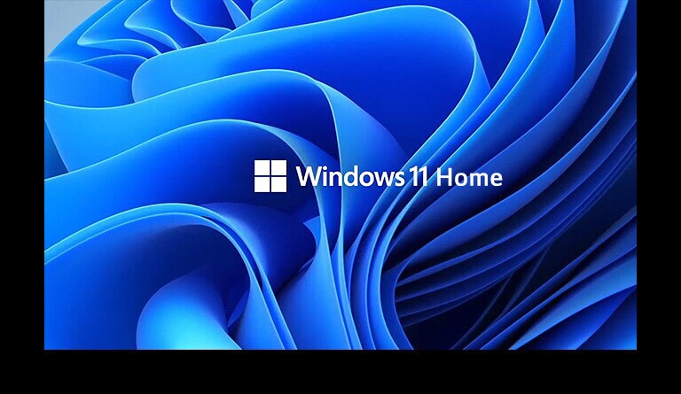 It shows the Windows11 logo and background image.