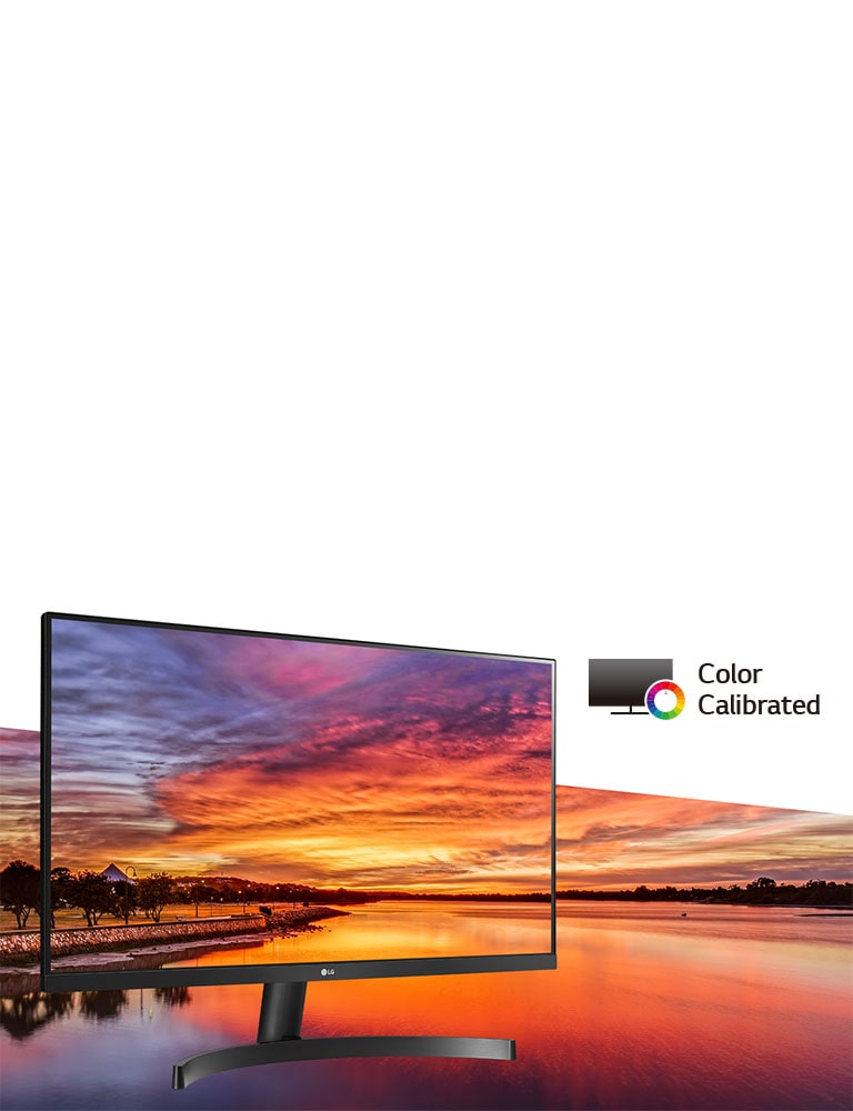 LG Full HD Monitor