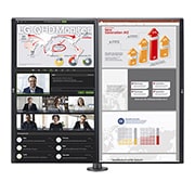 LG 27(68.466cm) QHD Monitor Ergo Dual with Daisy Chain, 27QP88D-BS