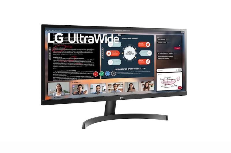 LG 73.66cm (29) 21:9 UltraWide™ Full HD IPS LED Monitor, 29WL500-B