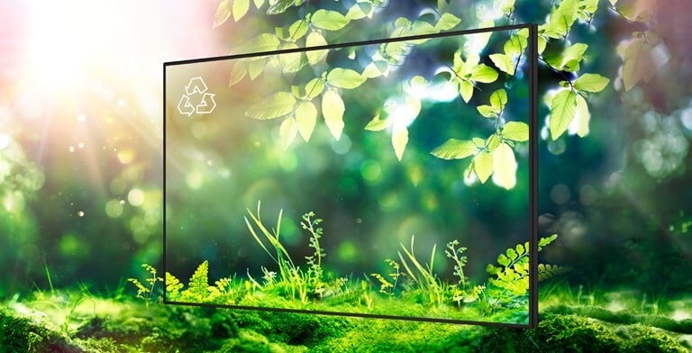 LG strives for a sustainable future by obtaining various certifications such as FCC EMC Class B.