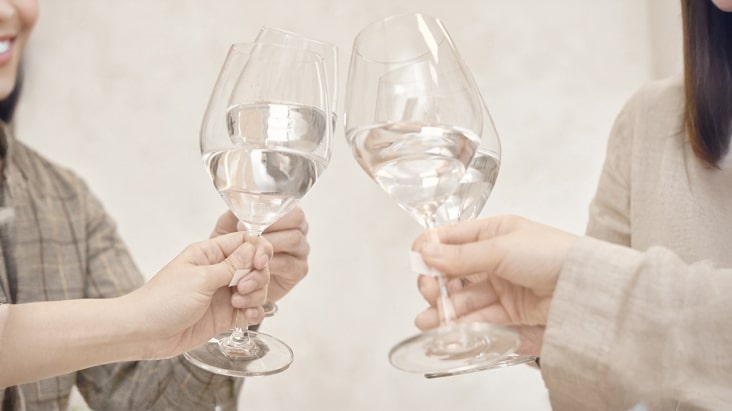 Two people clinking wine glasses filled with clear water, celebrating pure water quality	
