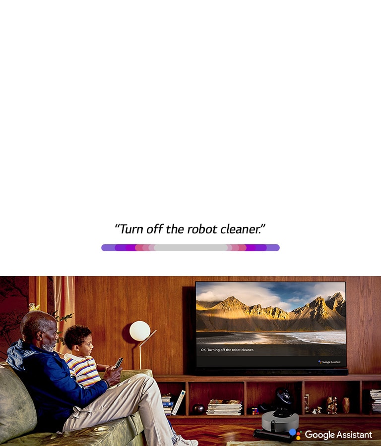 LG AI TV 2019 Google Assistant
