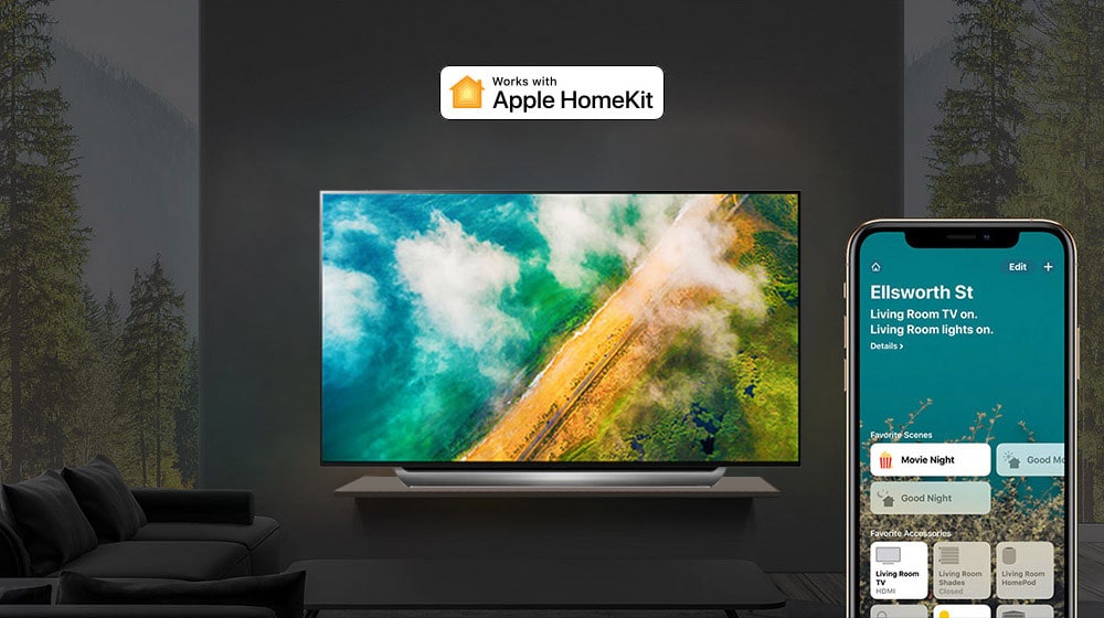 LG AI TV 2019