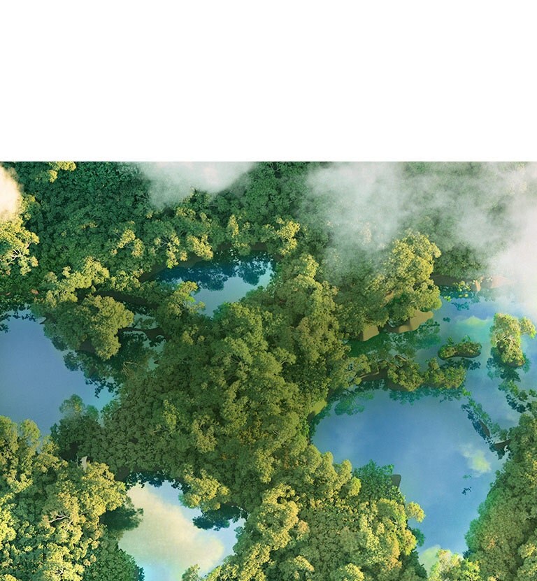 Aerial view of trees and water 