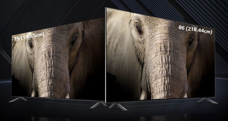 A 75 (190.5cm) and 86 (218.44cm) ultra-large LG QNED Mini LED TV stood side-by-side against a dark backdrop. The screens show a close-up image of an elephant’s face.