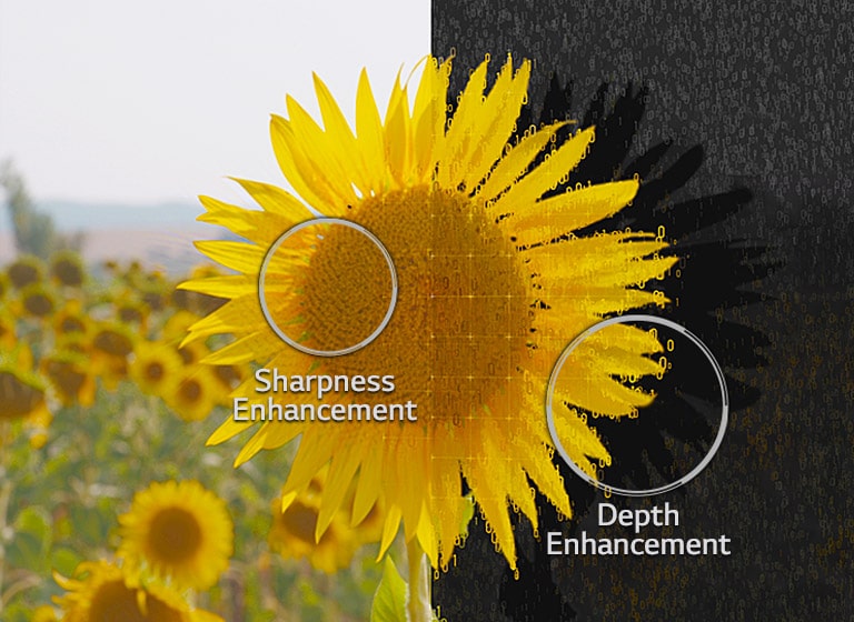 Object Depth Enhancer1