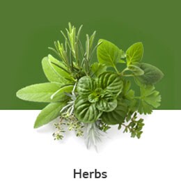02_REF-NatureFRESH-Vplus-03-UsefulTips-04-6-Herbs_t1
