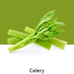 03_REF-NatureFRESH-Vplus-03-UsefulTips-04-7-Celery_t1