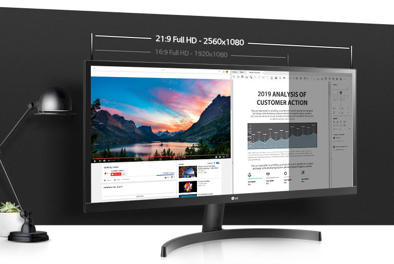 LG 29WL50S-B Ultra Wide Monitor