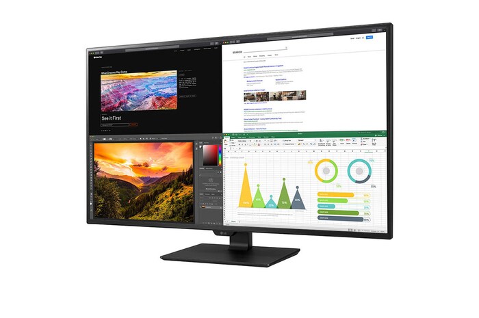 LG 42.5 (107.95cm) 4K UHD IPS Monitor, 43UN700-B