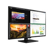 LG 42.5 (107.95cm) 4K UHD IPS Monitor, 43UN700-B