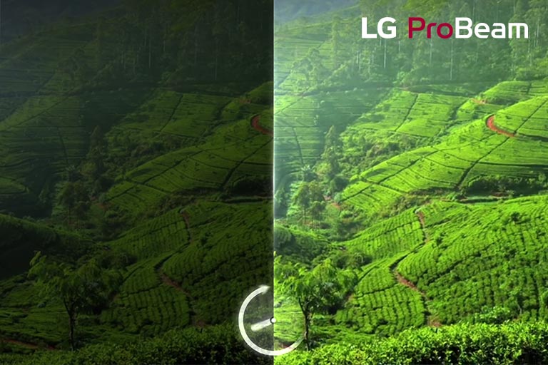 LG BU53PST Comparison of the nature scene looking dark, and the identical nature scene looking bright