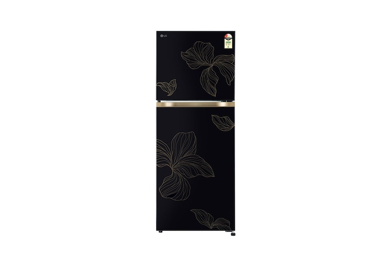 Front view of LG 225L Double Door Refrigerator, Convertible, Auto Smart Connect, Smart Inverter Compressor, Multi Air Flow, Radiant Onyx, 2 Star GL-S252ZROY
