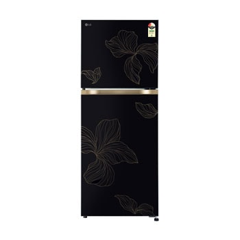 Front view of LG 225L Double Door Refrigerator, Convertible, Auto Smart Connect, Smart Inverter Compressor, Multi Air Flow, Radiant Onyx, 2 Star GL-S252ZROY