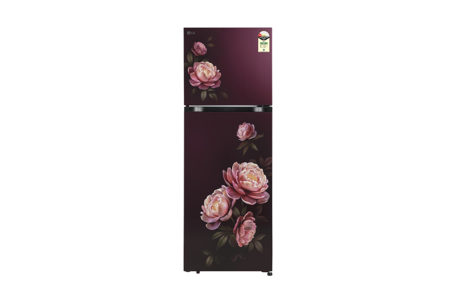 Front view of LG 251L Double Door Refrigerator with Smart Mode, Auto Smart Connect, Smart Inverter Compressor, Multi Air Flow, Wine Glory, 1 Star GLT2516WWWG