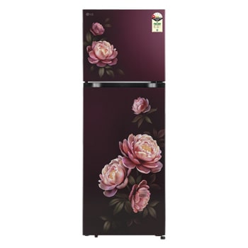 Front view of LG 251L Double Door Refrigerator with Smart Mode, Auto Smart Connect, Smart Inverter Compressor, Multi Air Flow, Wine Glory, 1 Star GLT2516WWWG