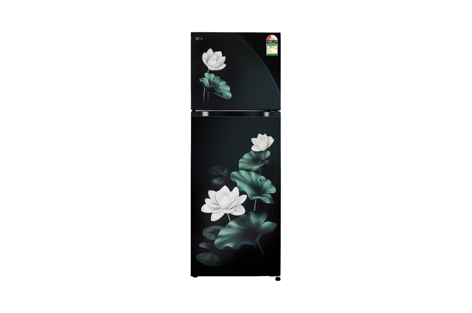 Front view of LG 251L Double Door Refrigerator, Convertible, Auto Smart Connect, Smart Inverter Compressor, Multi Air Flow, Emerald Lotus, 2 Star GLT2526XWEL