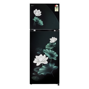 Front view of LG 251L Double Door Refrigerator, Convertible, Auto Smart Connect, Smart Inverter Compressor, Multi Air Flow, Emerald Lotus, 2 Star GLT2526XWEL